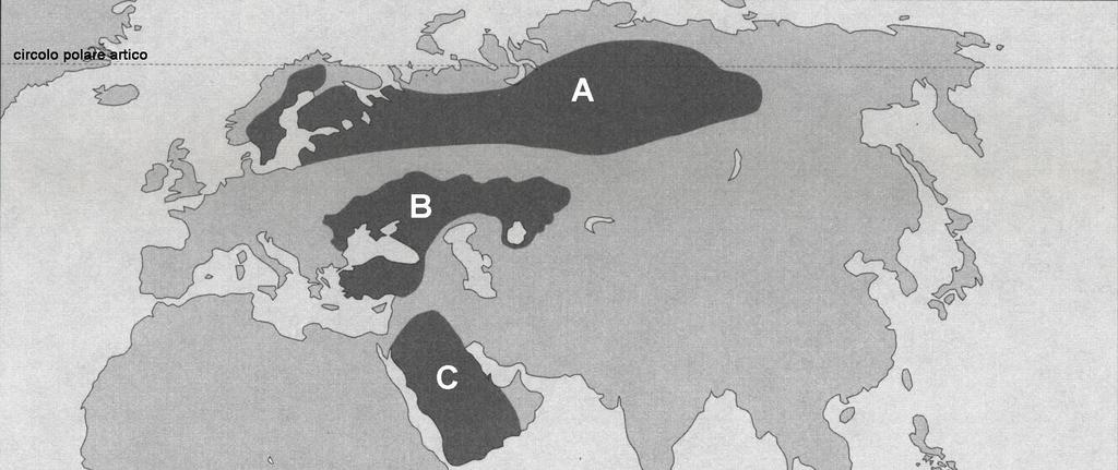 M062-501-1-1I 5 3. Le lettere segnate sulla cartina n. 1 indicano delle regioni dell'europa e dell'asia; indicate qual è il tipo di suolo prevalente in ciascuna di esse. Cartina n.