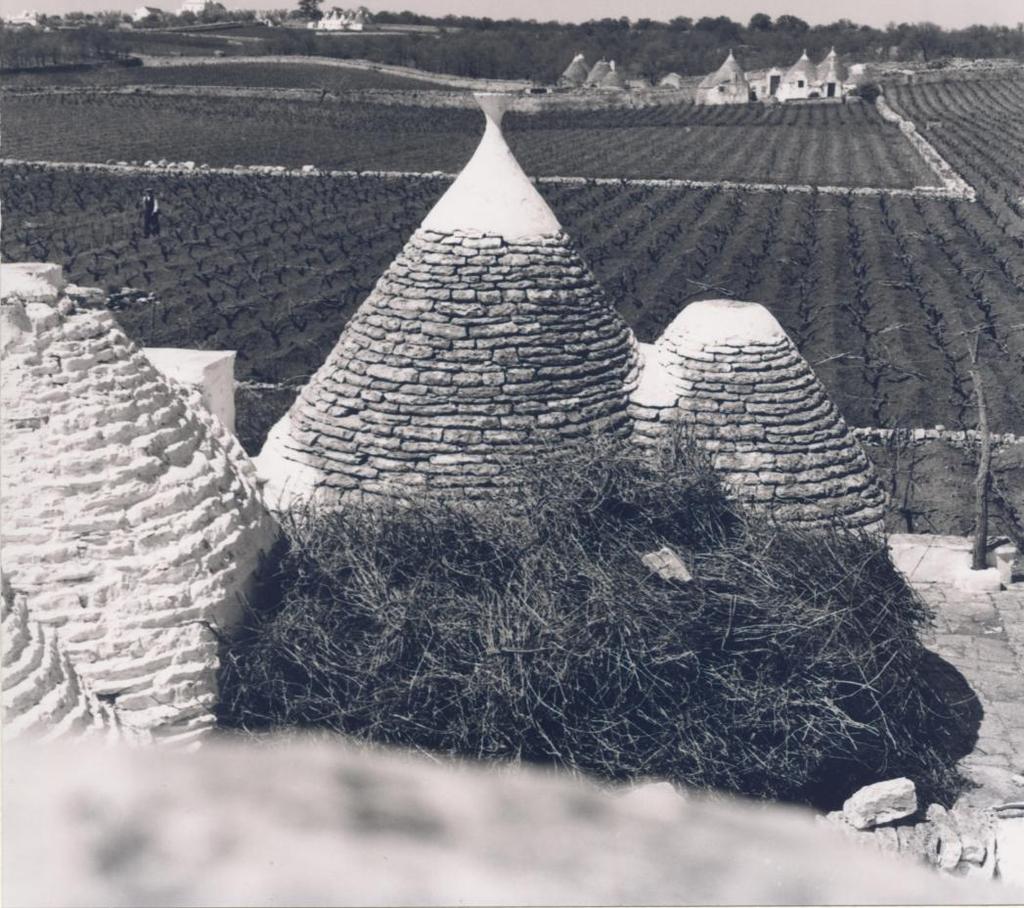 Comprensorio dei trulli e Valle d Itria Anni Superfici (ha) % 1929