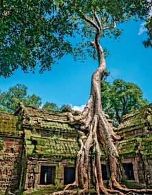 it selezionando la destinazione troverete quote e itinerario sempre aggiornati VIETNAM e cambogia HANOI - HALONG - HUE - HOIAN - SAIGON - DELTA MEKONG - PHNOM PENH - ANGKOR UN PERCORSO UNICO E