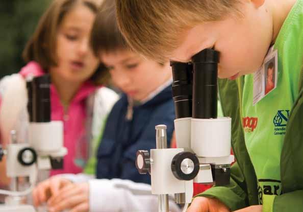 LABORATORI DIDATTICI AL PARCO in Villa Brusoni Scalella, Sambruson (Venezia) Scuola