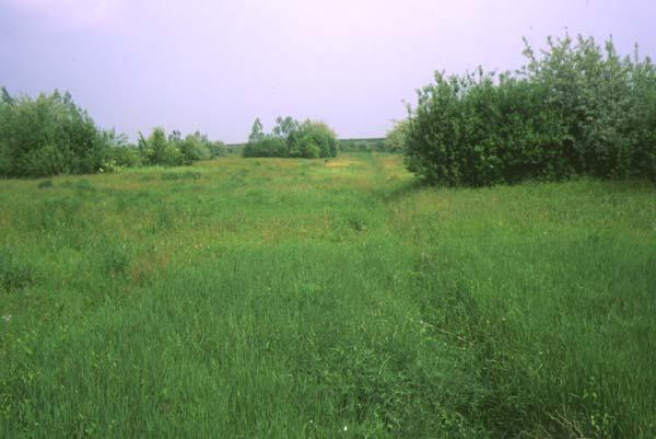 927 ettari di seminativi interessati tra il 1994 ed il 2004 dalle tre tipologie ambientali