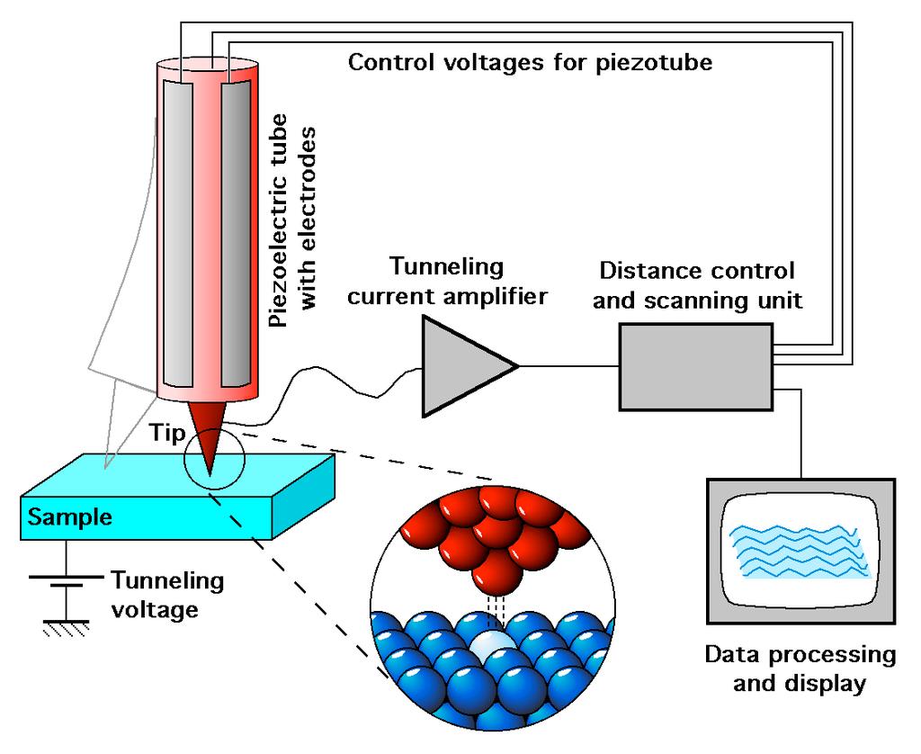 2) Il Microscopio tunnel a scansione (STM) Il Microscopio a effetto tunnel (Scanning Tunneling Microscope, STM), inventato da Binnig e Rohrer nel 1981, fu il primo strumento in grado di mostrare i