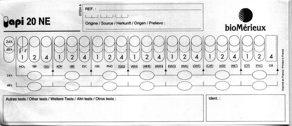 API 20 NE (per Gram- non enterici): raccolta dei risultati Aggiunta del risultato del test dell