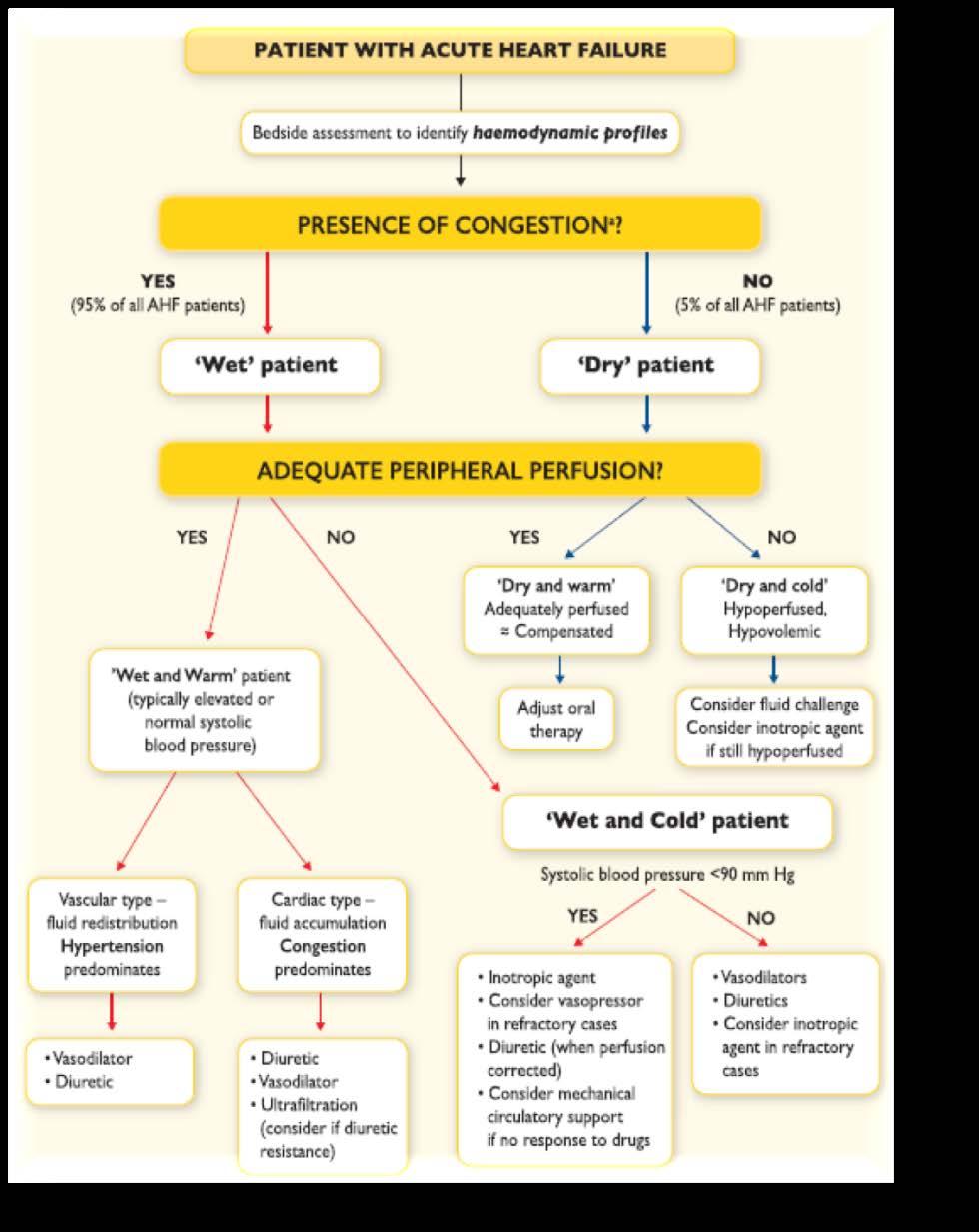 Management of patients with acute heart failure based on clinical profile: EARLY PHASE