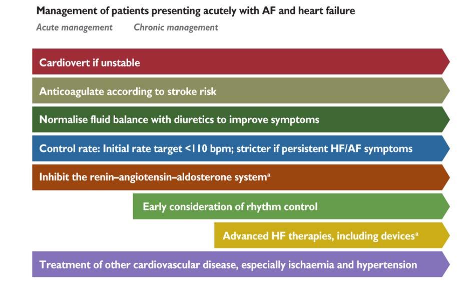 ESC Guidelines