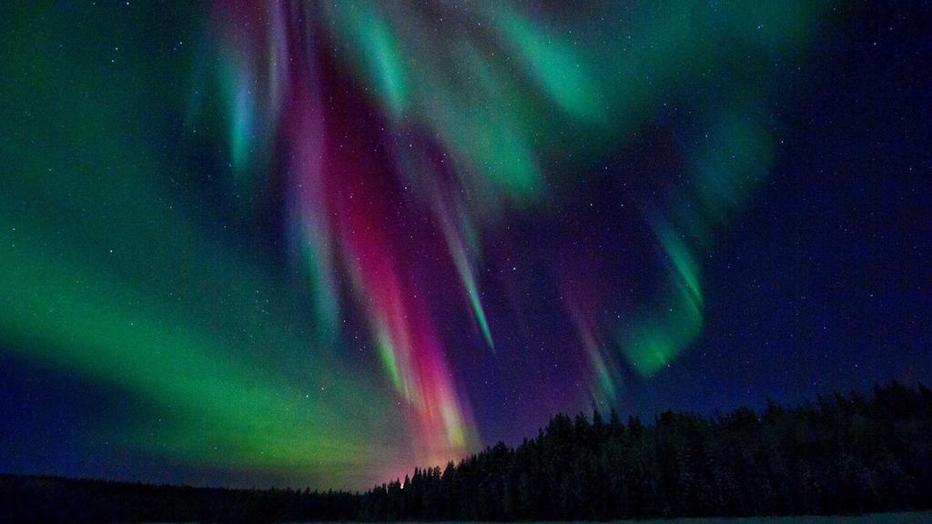 INVERNO 2017/2018 LAPPONIA SVEDESE, CAPODANNO A SKELLEFTEA 5 giorni / 4 notti Neve, boschi e renne. Immergersi nel silenzio tra abeti incantati e laghi ghiacciati.