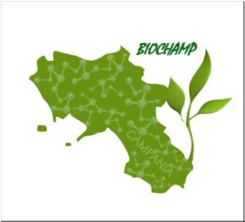 BIOCHAMP BIOCHAMP è un aggregazione pubblico privata per la ricerca e sviluppo di biochemicals derivanti da fonti rinnovabili, attraverso processi ecosostenibili e valorizzazione del territorio