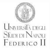 DI ATENEO SINAPSI (COD. RIF. SINAPSI/BDR/03-2017). ART. 1 Nell ambito del Progetto ESSEMME (SM) del Centro Sinapsi dell Università degli Studi di Napoli Federico II, è indetta una selezione di n.