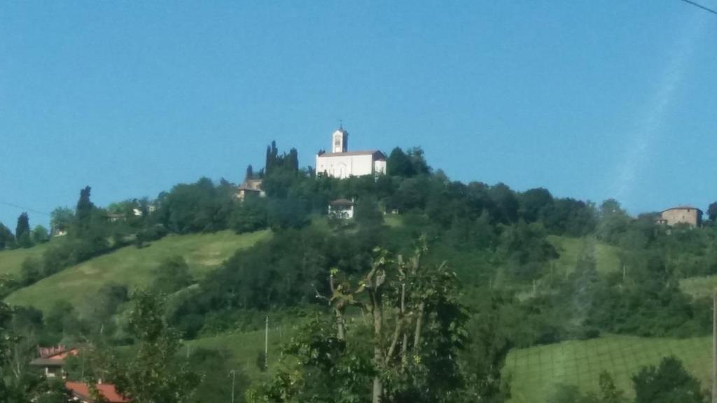 Foto troppo sfuocata forse a causa di uno zoom