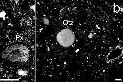 riportate nel triangolo ceramico (fig. 3b), indicano che i campioni cadono tutti nella zona Ca-poor ad eccezione di un fornello (M23) che cade nella zona Ca-rich.