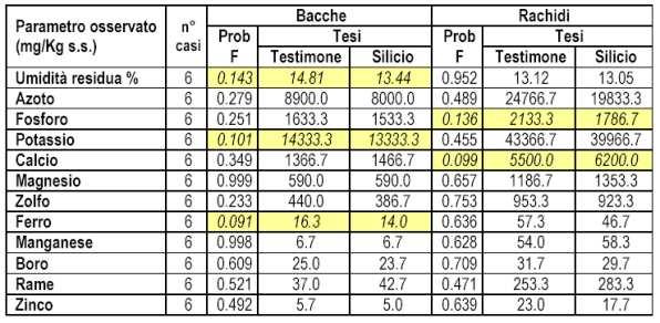 confermando la minor di vigoria riscontrata, e quindi un grado di maturazione più