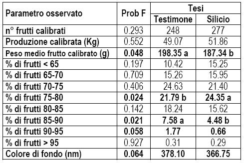 pezzature I frutti in seguito a tratta mento con silicio, risultano