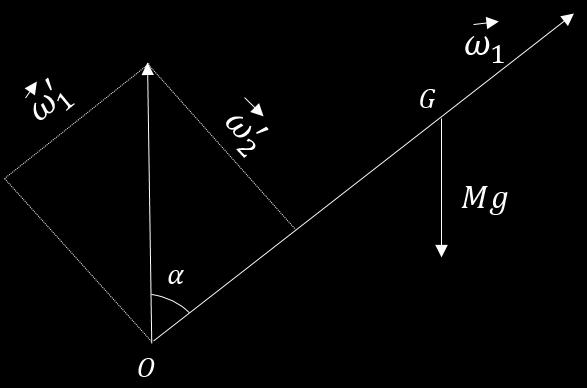 3.2 Esempi di corpo rigido con punto fisso 39 Figura 3.7: Moto di precessione generato da ω 1 e ω 2 (quest ultimo decomposto). La (3.