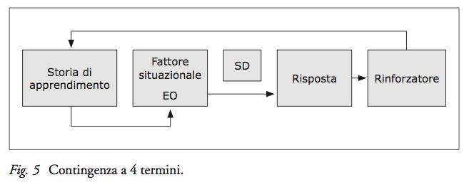 NET (NATURAL ENVIRONMENT TEACHING) Termine coniato da Sunderberg and Partington (1998) per indicare procedure di insegnamento focalizzate