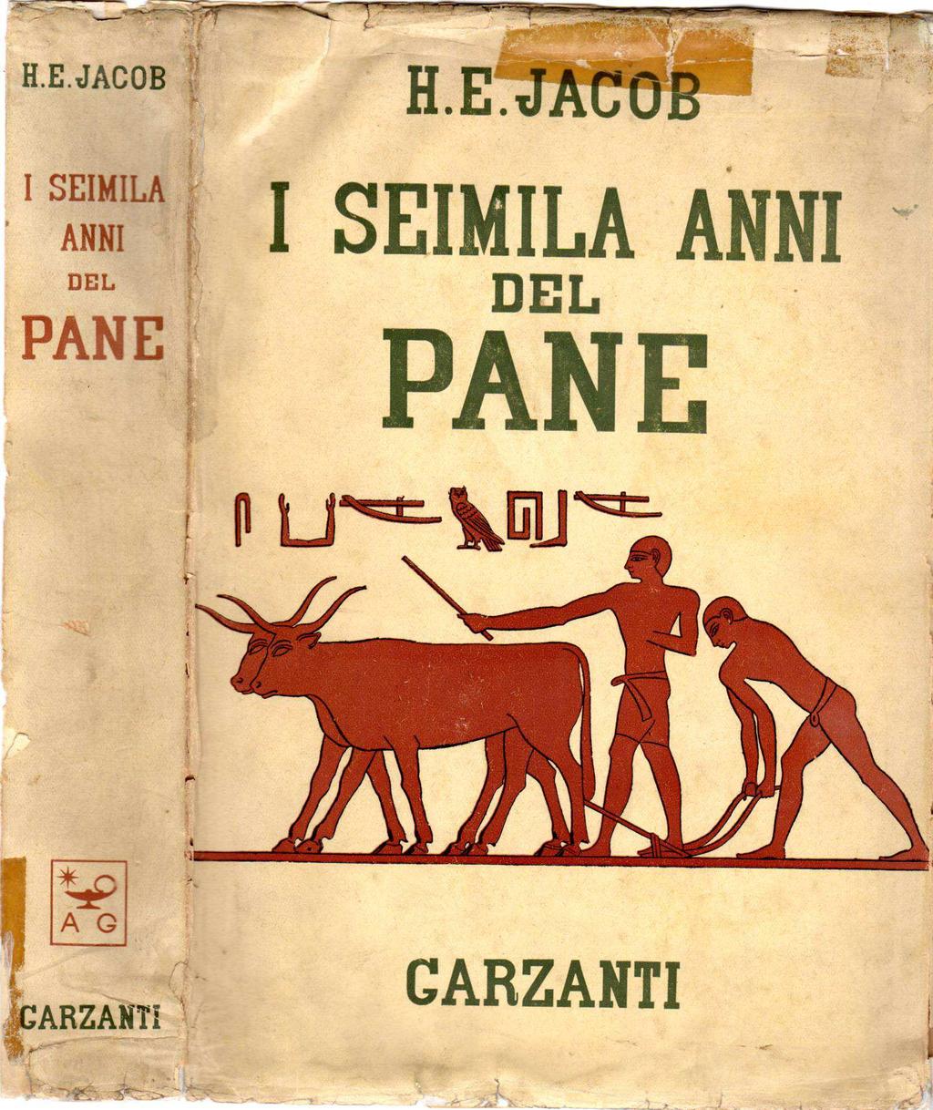 Storia dell'alimento più antico al mondo, dall'età preistorica ai tempi nostri, passando attraverso le religioni, le diverse aree geografiche, le novità industriali e le