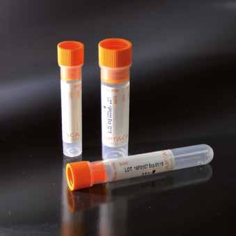 BLOOD COLLECTION TUBES WITH FILLING LINE PROVETTE CON ANTICOAGULANTE CON INDICAZIONE DEL LIVELLO DI RIEMPIMENTO 10 ML SERIGRAPHED K2 EDTA CYLINDRICAL - LIGHT GREEN TEST TUBES CAP PROVETTE K2