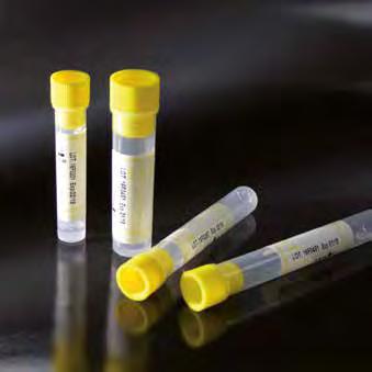 4 ML YELLOW CAP FOR COAGULATION SODIO CITRATO 0,4 ML TAPPO GIALLO PER COAGULAZIONE 2511 2512 2501 2508 TRISODIUM CITRATE 0.