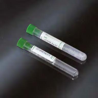 TEST TUBES WITH SEPARATING GRANULES, GREEN CAP PROVETTE CON GRANULI SEPARATORI, TAPPO VERDE GRANULES TUBES PROVETTE CON GRANULI Test tubes with separating granules for 10 ml of blood. Vol. 10 ml. Ø 16 x 100 mm.