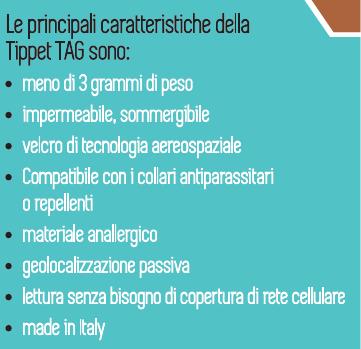 possibile problema o dubbio inerente l animale di famiglia, legale, medico, educativo, sulla cura in generale.