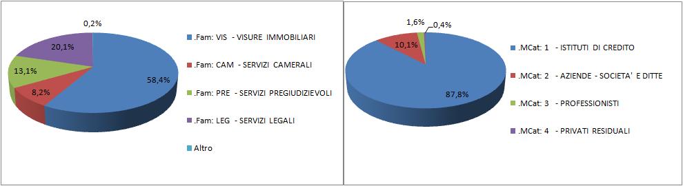 8. Analisi del fatturato I ricavi possono essere analizzati prendendo in considerazione: - Famiglie e sottofamiglie di articoli; - Macrocategorie e categorie di clienti.