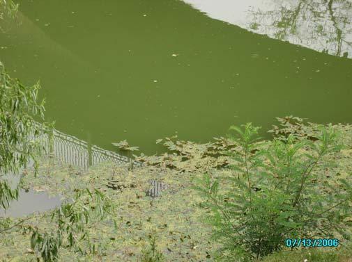 Torrente Riglio, Stazione cod.