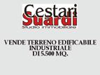 terreno edificabile industriale artigianale di 5.500 mq.