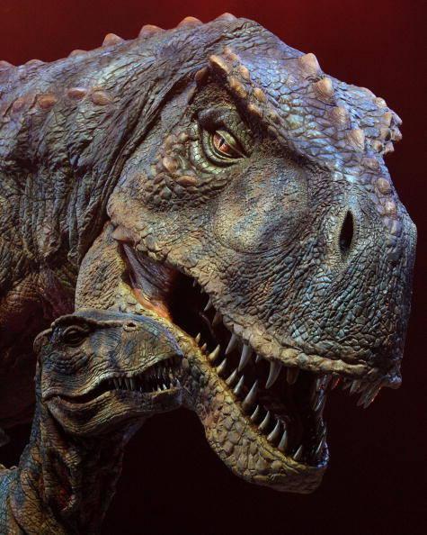 La vita alla fine del Cretaceo Dinosauri Da: http://dinosaurs.