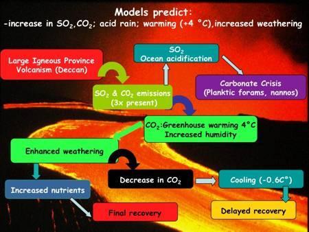 Emissioni vulcaniche ed estinzioni Da: http://geoweb.princeton.edu/people/keller/deccan_volc_1.