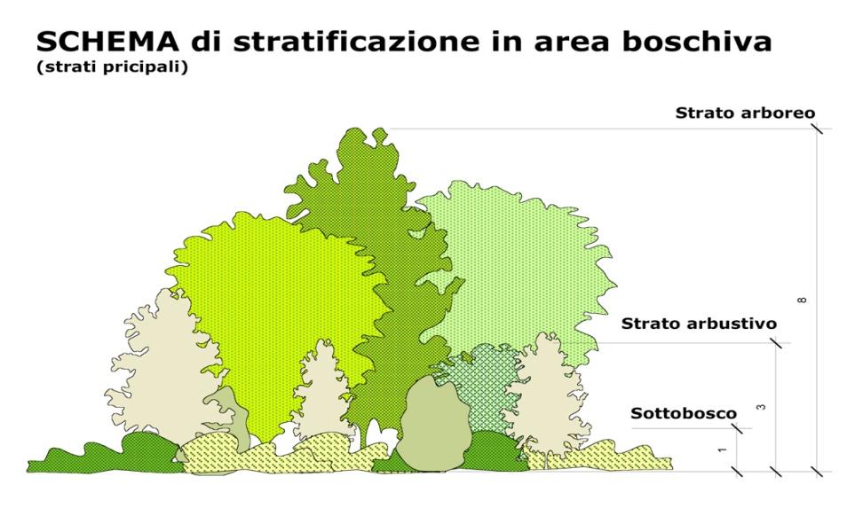 ecologico per il passaggio di specie animali e vegetali; Ecosistema-filtro per le sostanze inquinanti (gas di scarico, fertilizzanti inorganici), assorbimento della CO2 atmosferica.