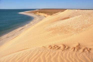 Proseguimento lungo la COSTA ATLANTICA, seguendo i ritmi delle maree, fino ad arrivare a delle magnifiche dune che si gettano nell oceano, dove sistemeremo il nostro campo tendato. Pranzo pic nic.
