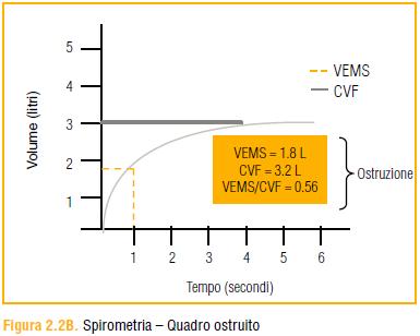 ) confermata dalla esecuzione di una spirometria che dimostri la presenza