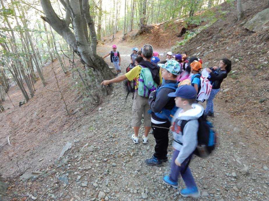 Abbiamo camminato e siamo arrivati in un posto con tanti alberi; il Danilo, l Alan e il Mauro ci hanno spiegato delle cose sugli alberi e il Danilo ci ha detto che di notte