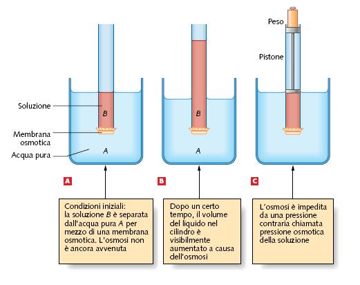 7.5 Le proprietà