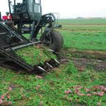 4 Strato di drenaggio Al fine di garantire un adeguato drenaggio alla superficie bisogna utilizzare uno strato portante di ghiaia (30/60 mm).