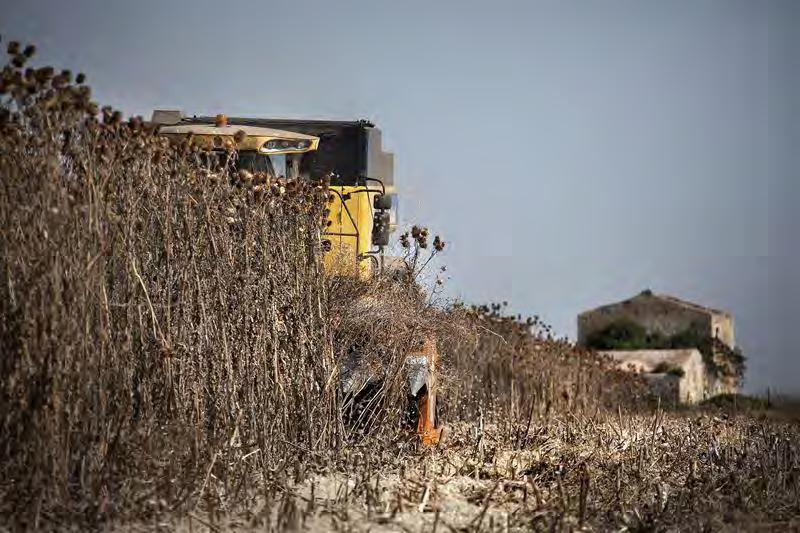 Istituto per i Sistemi Agricoli e Forestali del Mediterraneo del CNR