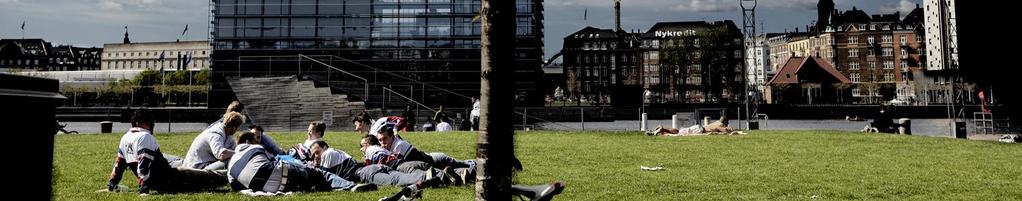 PIANIFICAZIONE STRATEGICA: COPENHAGEN - la visione Il contesto: una visione per essere una metropoli ecologica Quattro temi La Città migliore del mondo per le