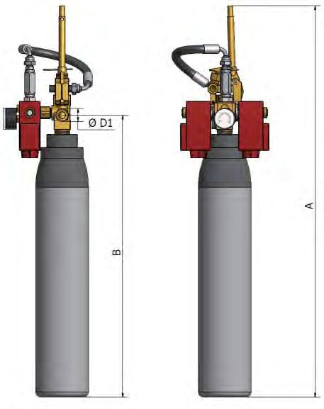 Dimensioni e Pesi (2) Dimensions and Weights (2) BP01 BP01S Capacità litri Volume litre Carica Charge A 3 150 bar a 15 C 740 530 W 21.7 X 1/14 12 7 150 bar at 15 C 835 485 W 21.