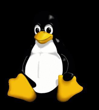 DEI DEI -- Politecnico di di Bari Bari Linux - La Shell Bash Gestione file e directory Directory di