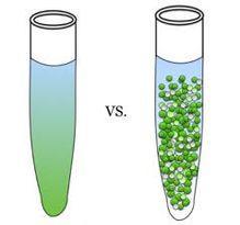 Droplet Digital PCR (ddpcr) Metodi tradizionali Campione Primers DNA Polimerase dntps In un