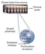 Droplet Digital PCR (ddpcr)