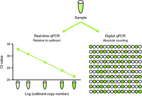 Droplet Digital PCR (ddpcr) Principali vantaggi ddpcr Non sono necessari replicati