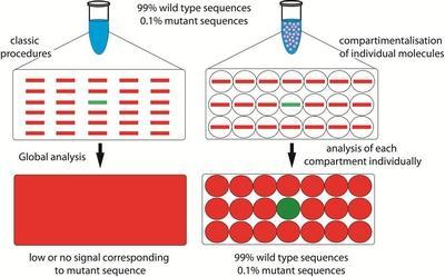 Droplet Digital PCR (ddpcr) Saggi in ddpcr 1.RED (Rare Event Detection) ricerca di target espressi in quantità minimale all interno di una matrice con caratteristiche molto simili.