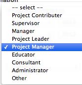 Questi sono i possibili ruoli da scegliere. Il PMI richiede che tu abbia svolto un ruolo di supervisione nel progetto per cui puoi scegliere fra Supervisor, Manager, Project Leader e Project Manager.