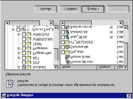 Viene visualizzata la finestra di dialogo Tipo della funzione Backup guidato.