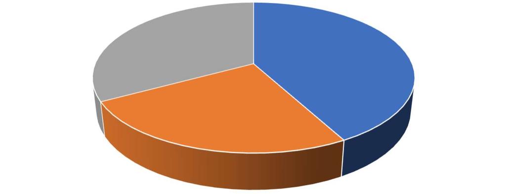 DATI RELATIVI AL NOME DEL NUOVO COMUNE CHE SI DETERMINERA` A SEGUITO DEL POSITIVO COMPLETAMENTO DELL ITER DI FUSIONE DI COMUNI CON NON ESPRESSI, NULLI ASTENUTI, ALTRO POLESINE 62 30 42 71 49 63