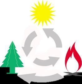 Biomassa Biomassa nel ciclo della natura Il termine biomassa indica tutti quei materiali di origine vegetale che non hanno subito alcun processo di fossilizzazione (diversamente dal petrolio, il