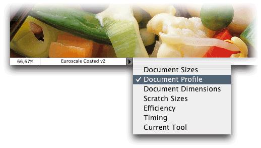 Suggerimento: Il profilo colore incorporato può anche essere visualizzato sul fondo della finestra documento.