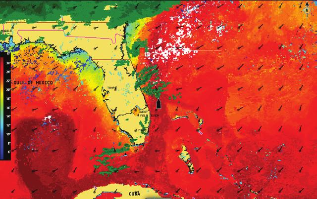 Icona Descrizione Previsione per la città Osservazione superficie Traccia tempesta tropicale: passata (grigio) - in corso (rosso) - prevista (giallo)