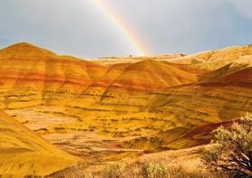 Le opportunità dietro l assortimento LE PROFESSIONISTE DEL CUCITO HANNO BISOGNO DI TRE COSE : FILO, COLORE E