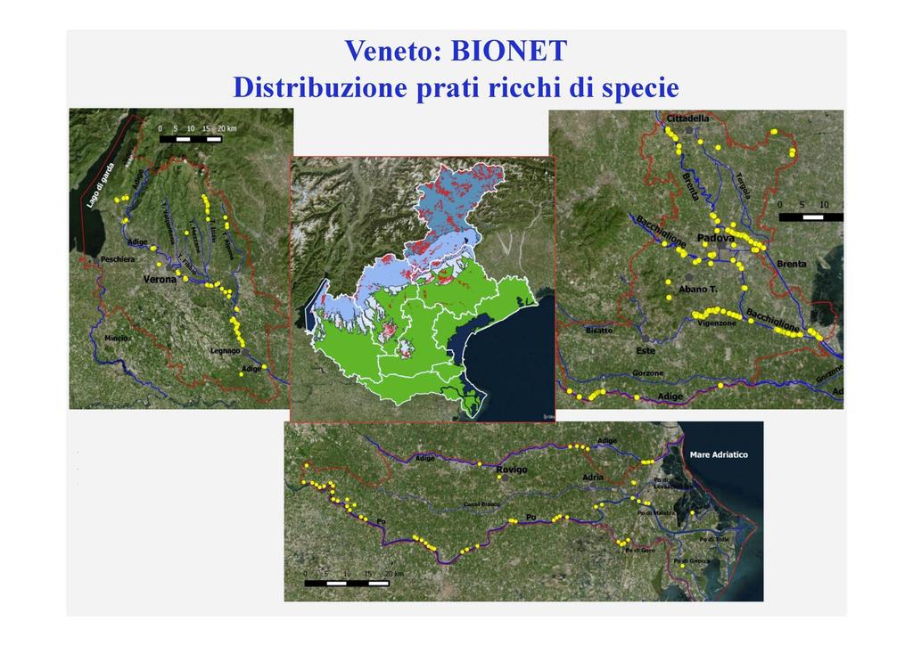 Presenza delle praterie semi-naturali